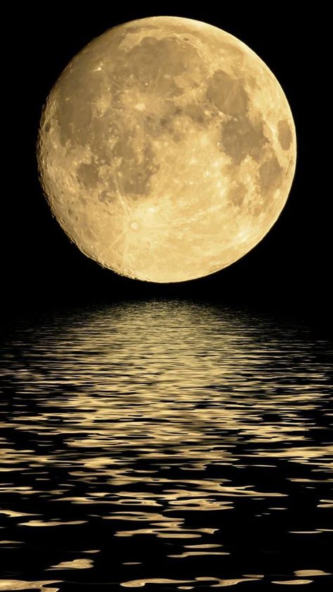 New Moon Pictures, Full Moon Images, Full Moon Pictures, Full Moon Photography, Moon Over Water, Beautiful Moon Pictures, Moon Day, The Sun And Moon, Moon Images