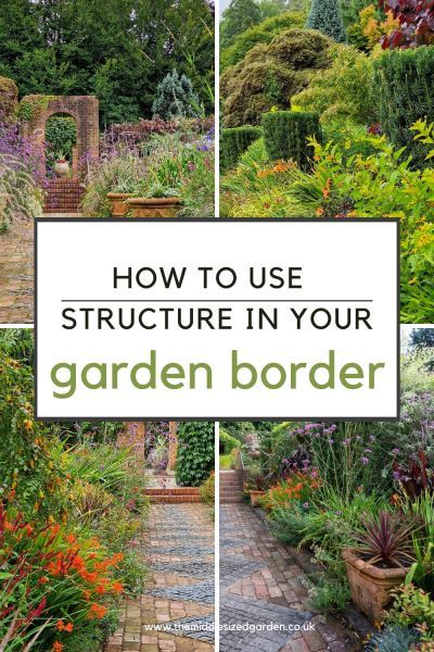 Make your garden border pop by creating a strong structure! #middlesizedgarden Garden Border Planting Ideas, Trees For Cottage Garden, Cottage Garden Structures, Plant Border Ideas, Border Planting Ideas, Garden Boarders Ideas, Boarder Plants, Small Garden Borders, Shrubs For Borders