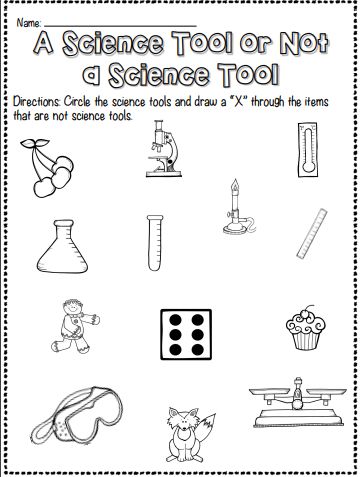 Science Tool or Not? Interactive Worksheet – Edform Nature, Science Tools Activities Preschool, Science Tools Worksheet, Free Classroom Rewards, What Do Scientists Do, Science Tools Activities, Science Worksheets For Kindergarten, What Is A Scientist, Free Science Worksheets