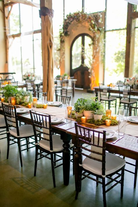 table setting with herb centerpieces and small candles Potted Plant Centerpieces, Herb Centerpieces, Wedding Bouquet Arrangements, Herb Wedding, Plant Centerpieces, Barr Mansion, Wedding Plants, Summer Wedding Bouquets, Wedding Floral Centerpieces