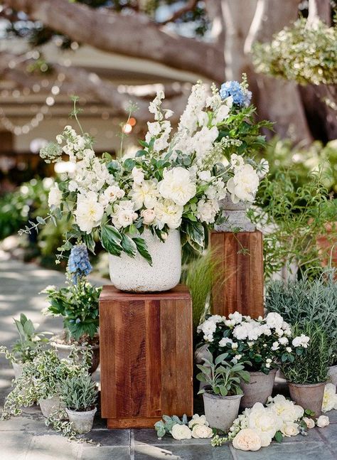 Potted Plants: The Greenery Wedding Decor Trend That's Totally Unexpected - floral wedding ceremony decor {Callista & Company} Lavender Potted Plant, Ceremony Arch Decor, Potted Plants Patio, Tattoo Plant, Wedding Plants, Greenery Wedding Decor, Plant Pot Diy, Ceremony Design, Aisle Decor