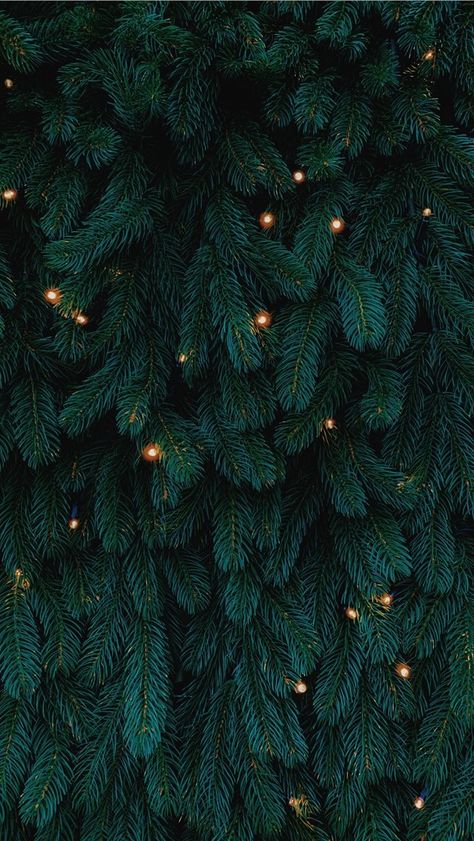 #christmas #aesthetic #wallpaper #iphone Christmas Wallpaper Cozy, Christmas Ashestic, Vintage Christmas Wallpaper Iphone, Boho Christmas Aesthetic, Christmas Hd Wallpaper, Vintage Christmas Aesthetic Wallpaper, Nativity Images, Christmas Tree Wallpaper Iphone, Winter Homescreen