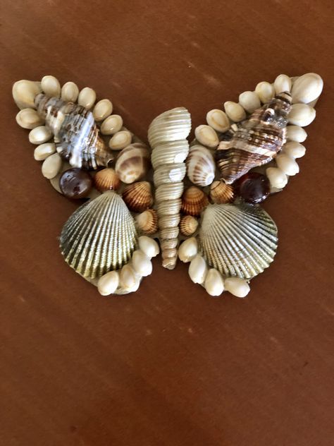 Sea Shell Butterfly, Butterfly Seashell Art, Turtle Made Out Of Sea Shells, Seashell Butterfly Shell Art, Sea Shells Diy Decor Craft Ideas, Sea Shells Art, Sea Shell Crafts Diy Decor, Shell Crafts Seashells Diy Ideas, Butterfly Shell Art