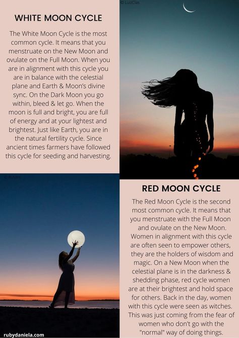 Moon Cycle Menstruation, Moon And Menstrual Cycle, New Moon Menstrual Cycle, White Moon Cycle, Red Moon Cycle, Fertility Cycle, Period Cycle, Negative Beliefs, Period Blood