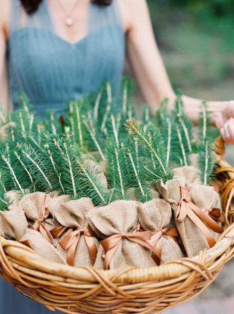 Flower and Plant Wedding Favor Ideas Plant Party Favors, Plant Wedding Favors, Fall Wedding Favors, Evergreen Wedding, Creative Wedding Favors, Edible Favors, Inexpensive Wedding Favors, Deco Table Noel, Winter Wedding Favors