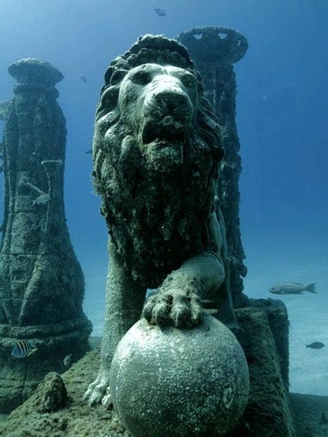 Ancient Underwater Ruins of Cleopatra: Alexandria, Egypt Underwater Shipwreck, Underwater Tattoo, Underwater Ruins, Underwater Sculpture, Ocean Drawing, Underwater Portrait, Mermaid Photography, Sunken City, Underwater Pictures