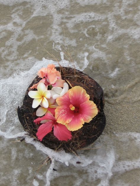 I put this together in Belize C.A. Hawaii Flower Aesthetic, Hawaiian Wallpaper, Aura Flower, Hawaiian Aesthetic, Mermaid Flowers, Island Flowers, Hawaii Flowers, Coconut Dream, Mode Rose