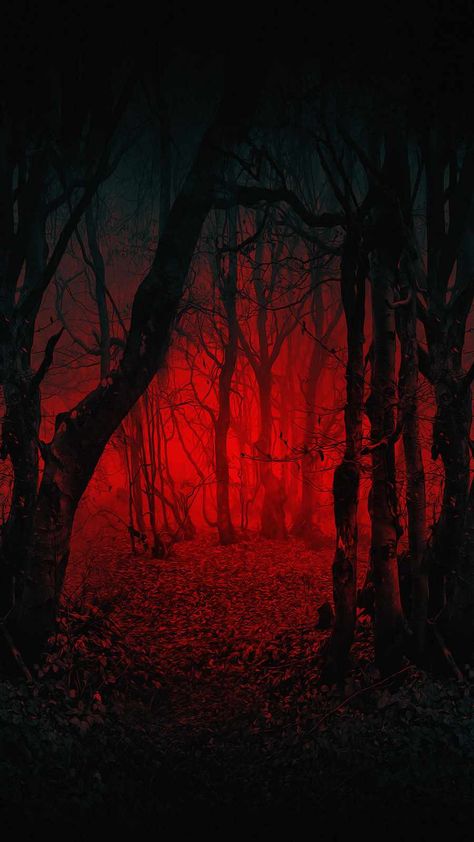 Scary Forest IPhone Wallpaper - IPhone Wallpapers : iPhone Wallpapers Creepy Ipad Wallpaper, Red Spooky Aesthetic, Demon Asethic, Creepy Forest Background, Creepy Background, Hell Background, Red Lighting, Boy Pics, Scary Backgrounds