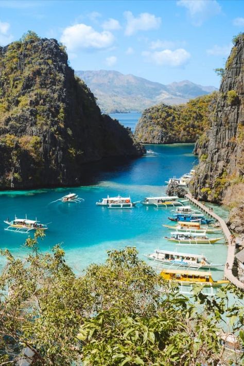 Coron Island Hopping Tours, Philippines | As the boat tours are popular, you should book a Coron island hopping tour in advance for the next day. You can book private and group boat tours anywhere in the town or online. Coron Palawan Philippines, Asia Places, Coron Island, Travel Philippines, Coron Palawan, Beach Destinations, Birthday Trip, Asia Travel Guide, Philippines Travel