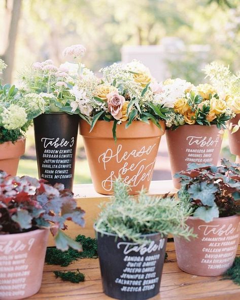 7 Creative Ways To Use Potted Plants In Your Wedding Decor Plant Seating Chart Wedding, Flower Pot Seating Chart, Plant Seating Chart, Calabria Wedding, Wedding Plants Decor, Mindy Rice Design, Card Displays, Hydrangea Colors, Card Table Wedding