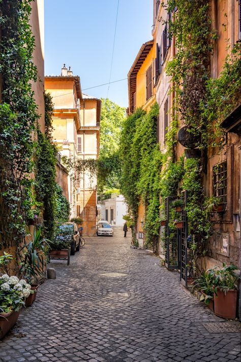 One of the most beautiful things in Rome is the vegetation that is an integral part of the city of Rome.  Many streets and buildings are covered with it.  Beautifully. Check out my blog post for more details. #rome #italy #italie #travel #photography #aesthetic #architecture #StayINspired Rome Train Station, Rome Streets, Italy Street, Piazza Del Popolo, Rome City, Italy Aesthetic, Trevi Fountain, Unique Hotels, Rome Travel