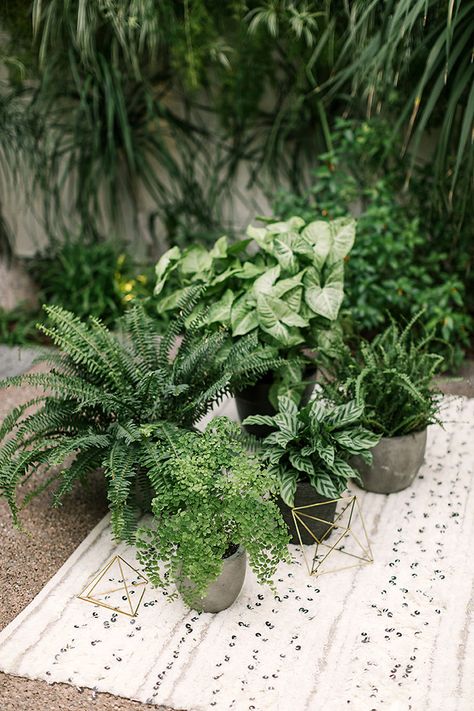 Modern Urban Jungle Wedding - RMBO Collective Plant Wedding Aesthetic, Wedding With House Plants, Plants At Wedding Receptions, Live Plant Wedding Decor, Houseplant Wedding Centerpieces, Live Plants Wedding Decor, Houseplant Centerpiece Wedding, Houseplant Wedding Decor, Tropical Plant Wedding