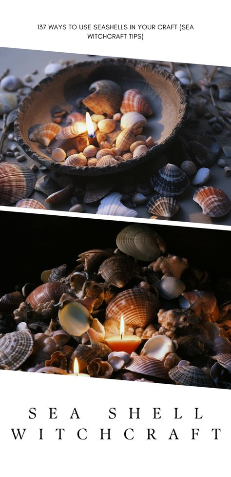 Sachets, Sea Witch Home Decor, Seashell Witchcraft, Seashells Witchcraft, Things To Do With Sea Shells, Shell Chimes, Sea Witch Aesthetic, Shell Magic, Witches Herbs