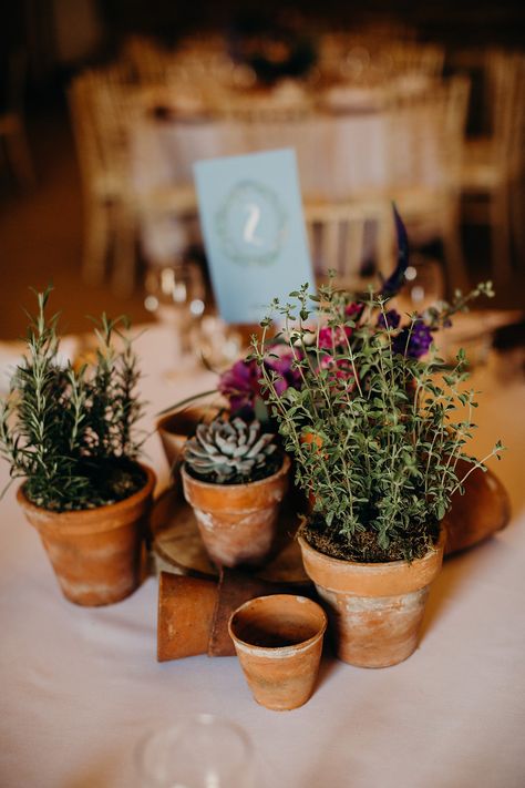 Hornington Manor Wedding Pretty Floral Fun & Hot Summery Potted Plant Centerpieces, Herb Centerpieces, Treehouse Wedding, Herb Wedding, Plant Centerpieces, Wedding Plants, Terracotta Plant Pots, Rustic Wedding Flowers, Plants Decor