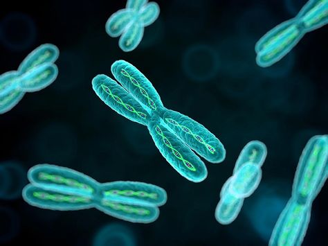 Mthfr Gene Mutation, Mthfr Gene, Biology Art, Gene Therapy, Genetic Mutation, Genetic Testing, Cell Membrane, Molecular Biology, Aging Well