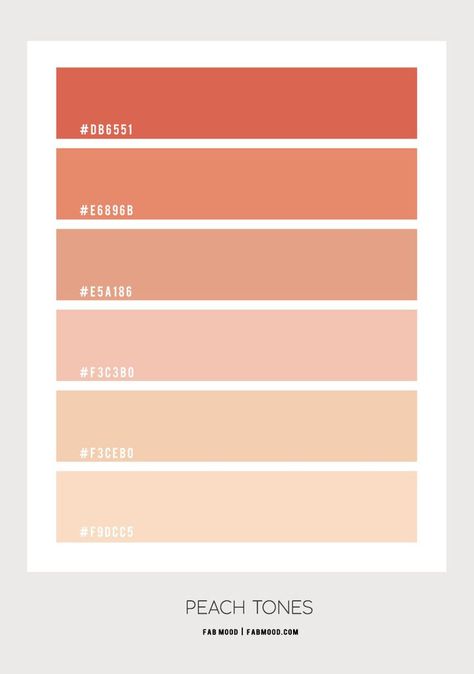 Oct 11, 2020 - Peach Hues Colour inspiration : Peach colour scheme – Beautiful inspiring colour palette of peach. From dark to neutral tones. Related colours blush, dusty peach, neutral, peach, peach echo, Peach Parfait Photo : tavga kadir... Blush Tones Colour Palettes, Peach Tones Colour Palettes, Peach Hex Code, Peach Palette Color, Coral Color Wedding, Peach Color Code, Color Palette Peach, Peach Pallette, Peach Colour Palette