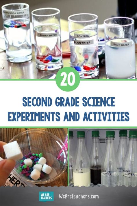 20 Simple and Fun Second Grade Science Experiments and Activities. Give second grade science students some hands-on experience with earth science, states and properties of matter, plant and animal life cycles, and more. #secondgrade #science #activities #STEM #STEAM #teaching 2nd Grade Science Experiments, 2nd Grade Science, Science Experiments Kids Elementary, Grade 2 Science, Earth Science Activities, Root Beer Floats, Soap Foam, Animal Life Cycles, 2nd Grade Activities