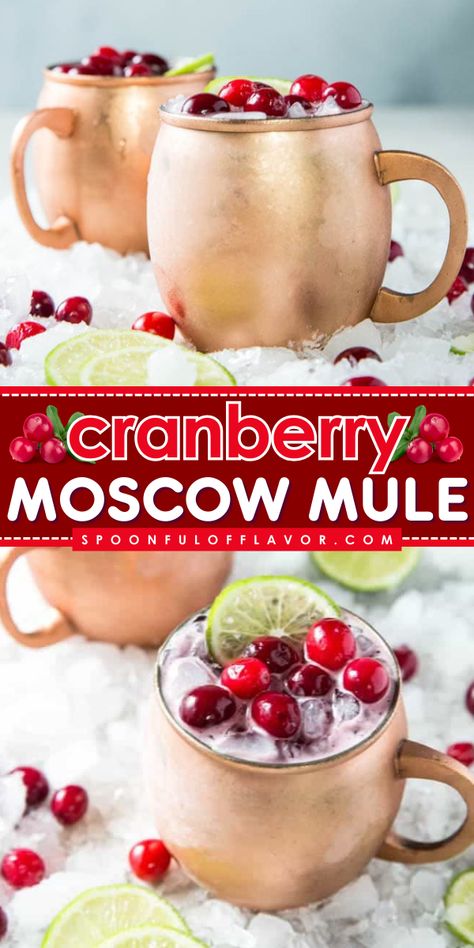 Are you looking for easy fall drinks? Learn how to make this cranberry moscow mule recipe! It is easy even for beginners. This Moscow mule recipe can make your party more enjoyable. Add this simple fall cocktail to your list of must-tries! Easy Simple Cocktails, Non Alcoholic Moscow Mule Recipe, Virgin Moscow Mule Recipe, Autumn Mule Recipe, Thanksgiving Mule Cocktail, Fall Moscow Mule Drinks, Simple Thanksgiving Drinks Alcohol, Virgin Mule Recipe, Easy Holiday Adult Beverages