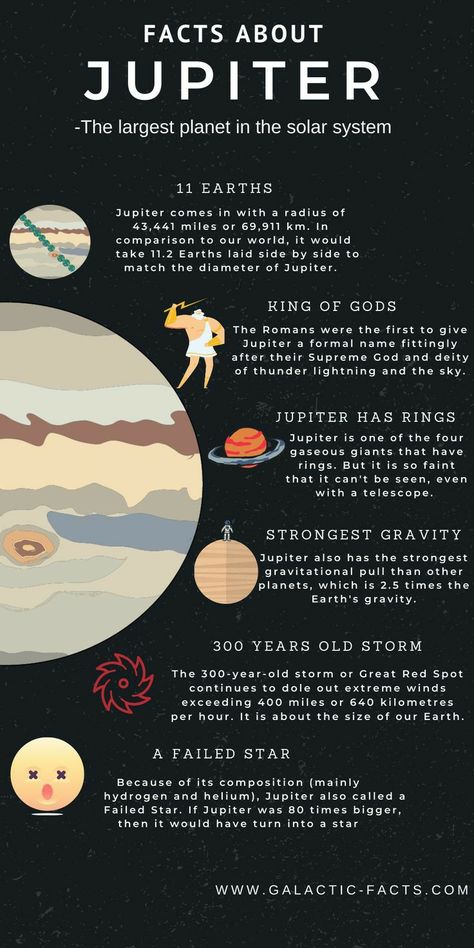 Facts About Jupiter, Jupiter Facts, Solar System Facts, Jupiter Planet, Solar System Projects, Ice Giant, Planet Jupiter, Sistem Solar, Astronomy Facts