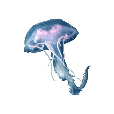 Sea Icons Png, Jellyfish Png Aesthetic, Ocean Carrd Png, App Icons Jellyfish, Sea Png Aesthetic, Sea Life Icons, Ocean Png Aesthetic, Jellyfish Icon Aesthetic, Jellyfish Widget Icon