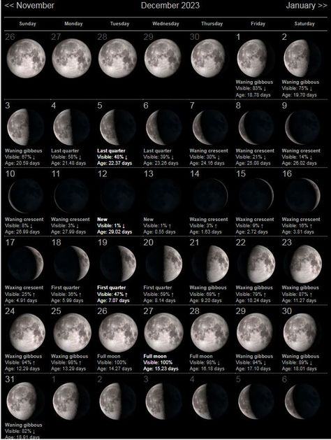 December Full Moon, Moon Phases Calendar, Calendar February, Moon Date, Moon Phase Calendar, July Calendar, November Calendar, Calendar March, Lunar Phases