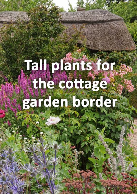 Small Border Garden, Cottage Garden Diy, English Garden Border Ideas, Cottage Garden Border Plan, Tall Border Plants, English Garden Border, Country Garden Borders, Cottage Garden Plants Perennials, Beautiful English Gardens