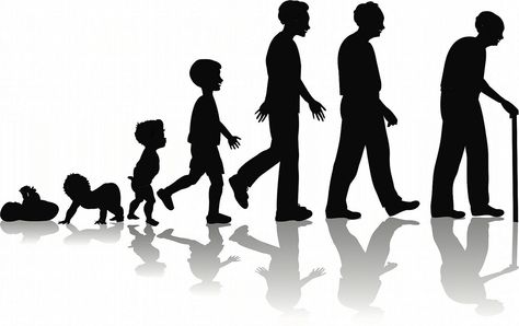 This is the depiction of the growth and development of human. A human's growth and development consists of many things you gain more knowledge, you grow taller, you body becomes stronger as in your bones. Definition Of Life, Need To Pee, English Speech, Look At The Moon, A Child Is Born, Praying To God, George Orwell, Life Stages, Joy Of Life