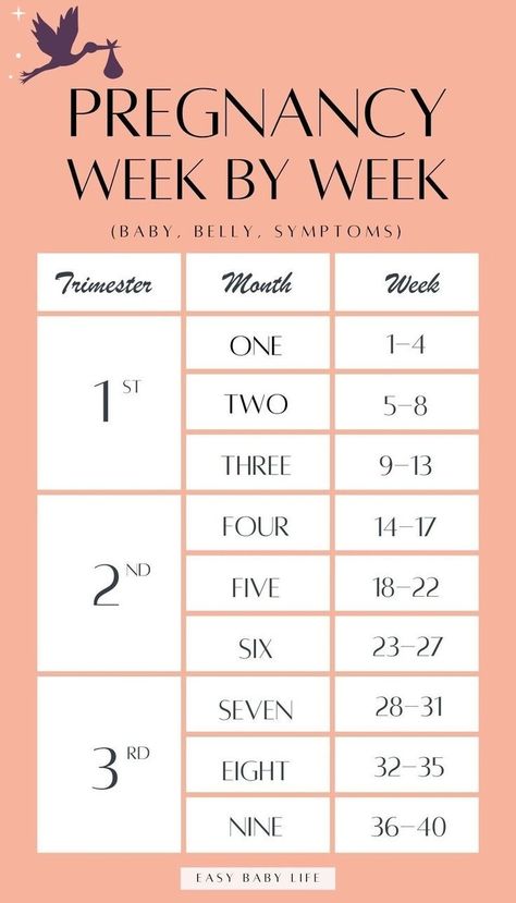 If you are pregnant or trying to get pregnant, bookmark this super handy pregnancy guide to your pregnancy week by week! The perfect trimester chart to reference (such a good pregnancy chart to see the stages of pregnancy weekly!) Read about the pregnancy weeks in each of the trimesters of pregnancy. The pregnancy calendar is perfect for first time moms to be. Perfect for baby development, size, belly, pregnancy symptoms, pregnancy tips, and pregnancy checklists from early pregnancy to birth. Stages Of Pregnancy Weekly, Pregnancy Trimester Chart, Trimester Chart, Pregnancy Symptoms By Week, Pregnancy Prep, Pregnancy Weeks, Week By Week Pregnancy, Pregnancy Chart, 5 Weeks Pregnant