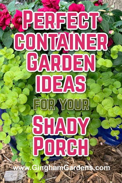 Stop by Gingham Gardens for a bunch of creative container ideas for shade. Including the best container plants for shade, along with adorable ideas for shady front porches. Colorful shade planter ideas. Flower pots for shade. Shade-loving annuals and perennials for  container gardens. Pots For Shaded Front Porch, Shady Container Garden, Plants To Put In Planters, Plants For Shade Outdoors Pots, Fall Shade Plants For Pots, Full Shade Container Ideas, Plants For Pots In Shade, Shade Plants For Front Porch, Best Shade Plants For Containers