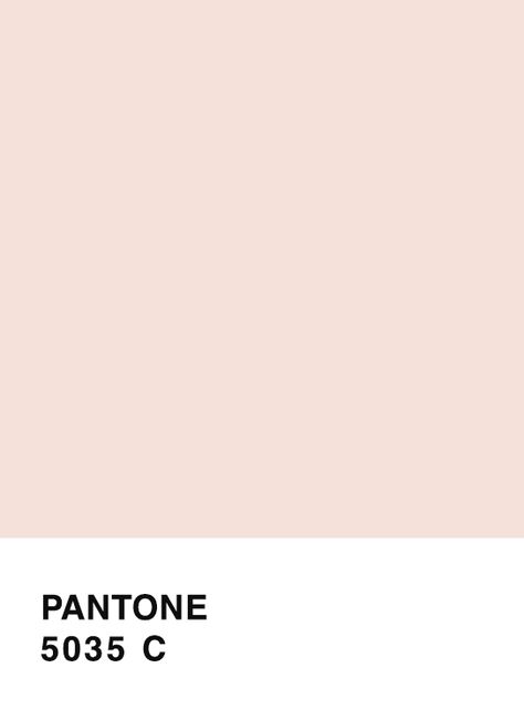 Dusty Peach Color, Light Peach Wall Color, Pale Pink Walls, Peach Paint Colors, Bridal Suite Decor, Pale Peach Color, Coffee House Design, Rose Smith, Peach Paint