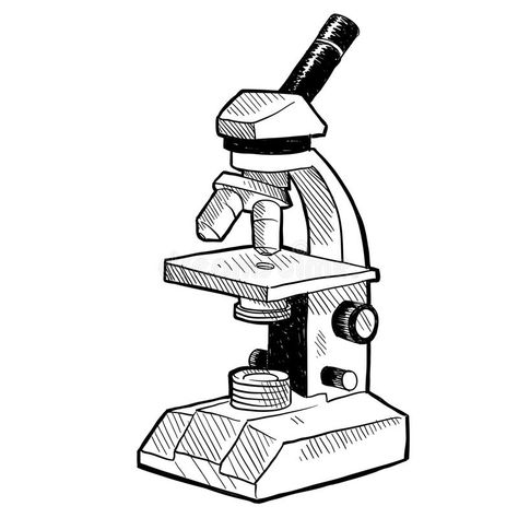 Microscope Drawing, Biology Drawing, Creative School Project Ideas, Microscopic Images, Butterfly Art Painting, Biology Art, Doodle Style, Medical Anatomy, Drawing Exercises