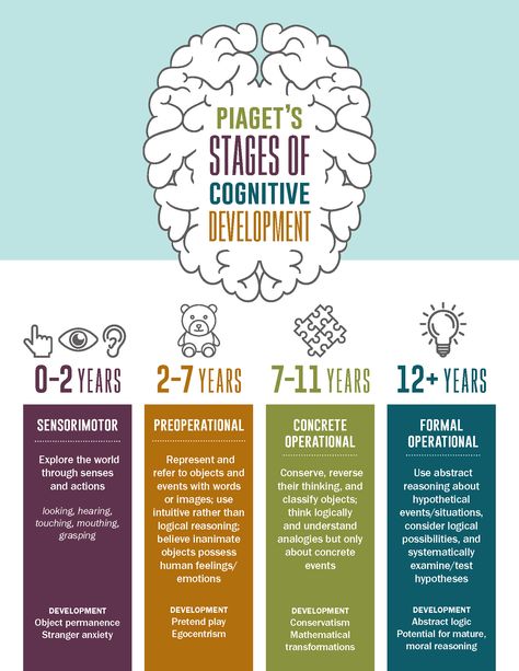 Piaget's Four Stages of Cognitive Development Infographic Human Lifespan Development, Early Childhood Therapy Activities, Jean Piaget Theory Of Cognitive Development, Piaget Theory Of Cognitive Development, Social Work Infographic, Activities For Cognitive Development, Cognitive Learning Theory, Piaget's Theory Of Cognitive Development, Eppp Study Material