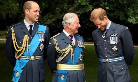 Windsor Family, Prins Charles, Prince Harry Et Meghan, Prins William, Prinz Charles, Principe William, Prins Harry, Prince Charles And Camilla, Prinz Harry