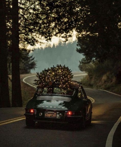 Christmas Tree On Car, Porche Vintage, Christmas Cars, Driving Home For Christmas, Winter Car, Car Christmas, Christmas Car, Christmas Feeling, Cambridge University