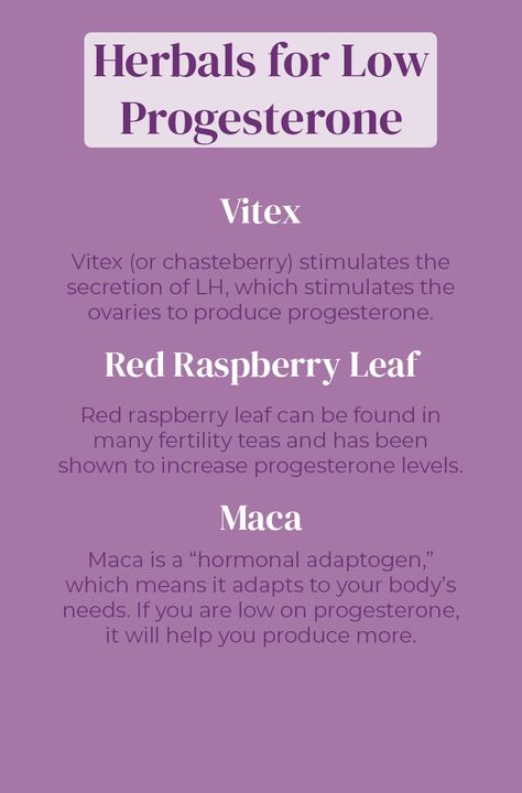 Natural Progesterone Supplements, Naturally Increase Progesterone, Herbs To Increase Progesterone, Natural Progesterone Food, How To Boost Progesterone, Increase Lh Hormone, Natural Ways To Increase Progesterone, Increasing Progesterone Naturally, Ways To Increase Progesterone