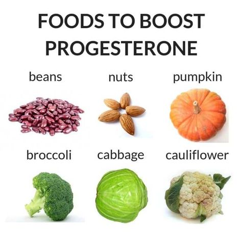 Foods to Boost Your Progesterone Levels | The Dietologist Congenital Adrenal Hyperplasia, Trouble Getting Pregnant, Corpus Luteum, Environmental Problems, House Cleaners, Fertility Testing, Progesterone Levels, Pregnancy Hormones, Estrogen Dominance