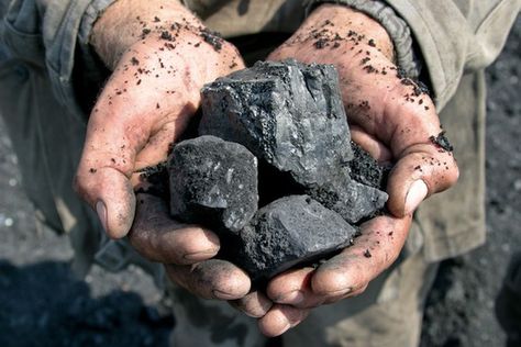 A miner holding coal nuggets in his cupped hands. Industrial Revolution, Burning Coal, Adani Group, Thermal Power Plant, Future Energy, Rs 4, Solar Energy Panels, Sustainable Energy, Power Plant