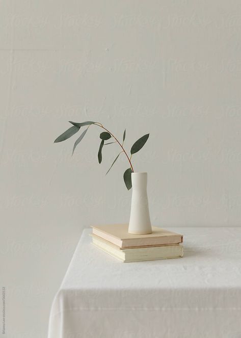 Minimal still life scene of 2 books on a table with white vase and foraged stems. Still Life With Books, Iphone Wallpaper Plants, Plants Minimalist, White Aesthetic Photography, Wallpaper Plants, Minimal Photo, Minimal Photography, Minimalist Photos, White Minimal