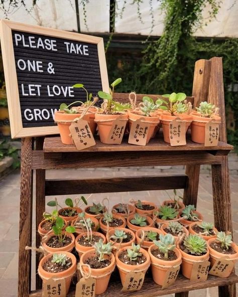 Wedding Gifts For Guests Plants, Take One And Watch Love Grow, Wedding Plant Gifts For Guests, Succulent Wedding Favors Display, Potted Plant Wedding Favors, Wedding Souvenirs Plants, Plant Pot Wedding Favour, Forest Green Wedding Favors, Watch Our Love Grow Favors