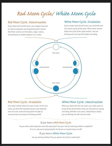 EMPRESS SIN ALYSS on Twitter: "Red & White Moon Cycles✨… " Red Moon Cycle, Period Cycle, Woman Health, Womb Healing, Moon Time, New Moon Rituals, Moon Cycle, Full Moon Ritual, Menstrual Health