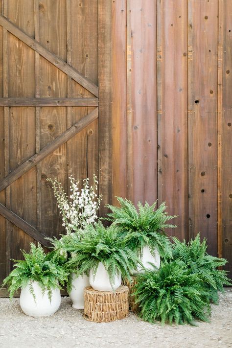 We love how they incorporated ferns and potted plants as wedding decor! Eco-friendly and budget-savvy way to create a fresh centerpiece. #centerpiecesdiy #pottedplants #plantlady Bells Of Ireland Wedding Centerpiece, Fern Ceremony Decor, Hanging Ferns Wedding, Modern Outdoor Wedding Decor, Forest Arrangements, Woods Themed Wedding, Fern Centerpiece Wedding, Fern Wedding Decor, Potted Plant Centerpieces