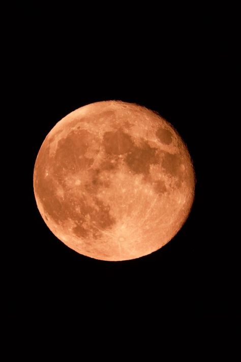 Strawberry Full Moon June 2023: Spiritual Meaning Strawberry Full Moon, Full Moon June, June Moon, Full Strawberry Moon, Moon Capricorn, Moon Meaning, Next Full Moon, Strawberry Moon, Strawberry Moons