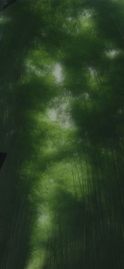 [{It's a blurry forest what can I say}] Blurry Nature Background, Drawing Backrounds Ideas, Blurry Background Wallpaper, Blurry Nature Aesthetic, Ipad Wallpaper Plants, Green Blurry Aesthetic, Forest Lockscreen, Blurry Painting, Blurry Nature