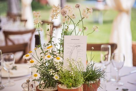 Wedding Plants Centerpieces, Potted Plant Centerpieces, Flower Pot Centerpiece, Botanical Wedding Theme, Lake Wedding Venues, Plant Centerpieces, Wedding Woodland, Wedding Plants, Tipi Wedding