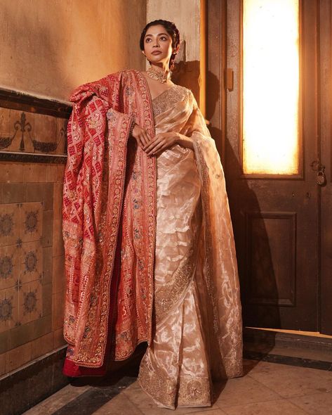 Deepika Padukone Banarasi Saree, Indian Royal Clothing, Royal Look Indian Dress, Royal Reception Look Indian, Bride Mom Dress Indian Saree, Heavy Saree Look, Saree And Dupatta Together, Saree For Mom Indian Weddings, Traditional South Indian Saree Look