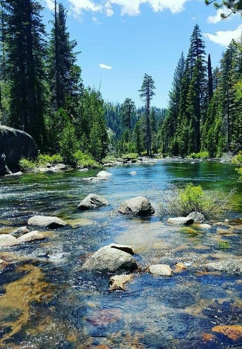 Lukisan Lanskap, Tuolumne Meadows, Fotografi Alam Semula Jadi, Places In The World, Beautiful Places Nature, Most Beautiful Cities, Beautiful Places In The World, Alam Yang Indah, Alam Semula Jadi