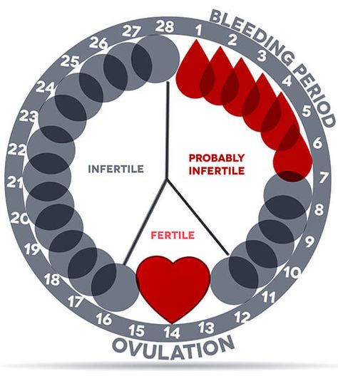 Period Calculator Period Cycle Chart, Period Circle, Period Chart, Menstrual Cycle Calendar, Fertility Day, Fertility Calendar, Period Calendar, Ovulation Calendar, Ovulation Calculator