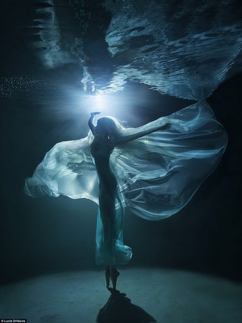 Photographer Terry Steeley wins global underwater photographic competition | Daily Mail Online Underwater Photoshoot, Underwater Model, Bawah Air, Underwater Portrait, Fotografi Bawah Air, Shocking Blue, Foto Gif, Underwater Art, Underwater Lights