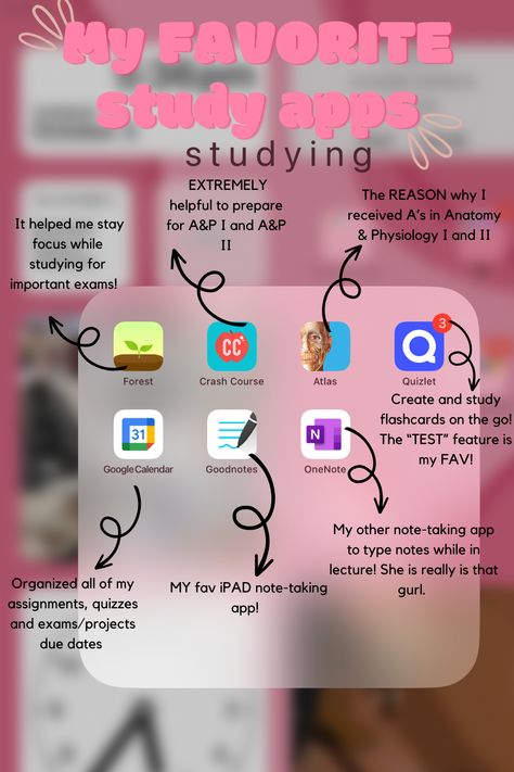 School Study Notes, College Ipad, Garden Home Ideas, Academic Comeback, Suggested App, Clothes School, Swat Police, Typed Notes, School Study Ideas