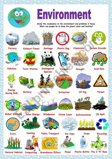 Environment Pictionary worksheet Pencemaran Air, Earth Activities, Global Goals, Relationship Worksheets, Environmental Problem, Environmental Studies, Environmental Education, Science Worksheets, Learn English Vocabulary